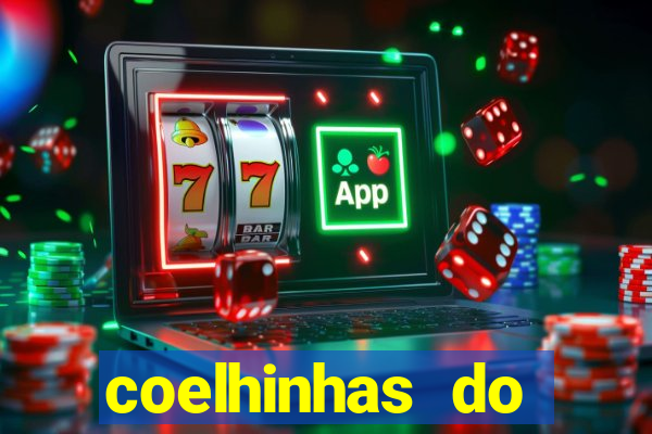 coelhinhas do brasil recife